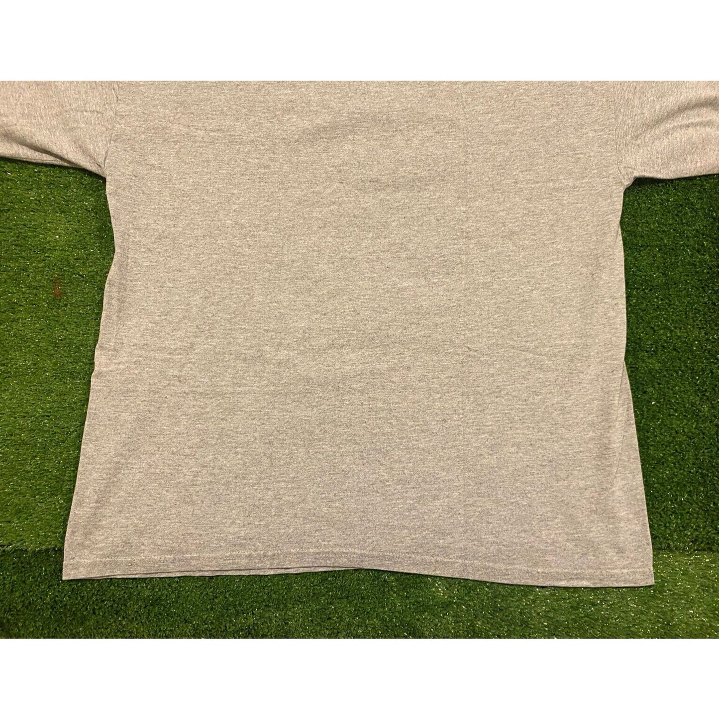 Vintage Tultex Detroit Red Wings big Red machine t-shirt XL gray