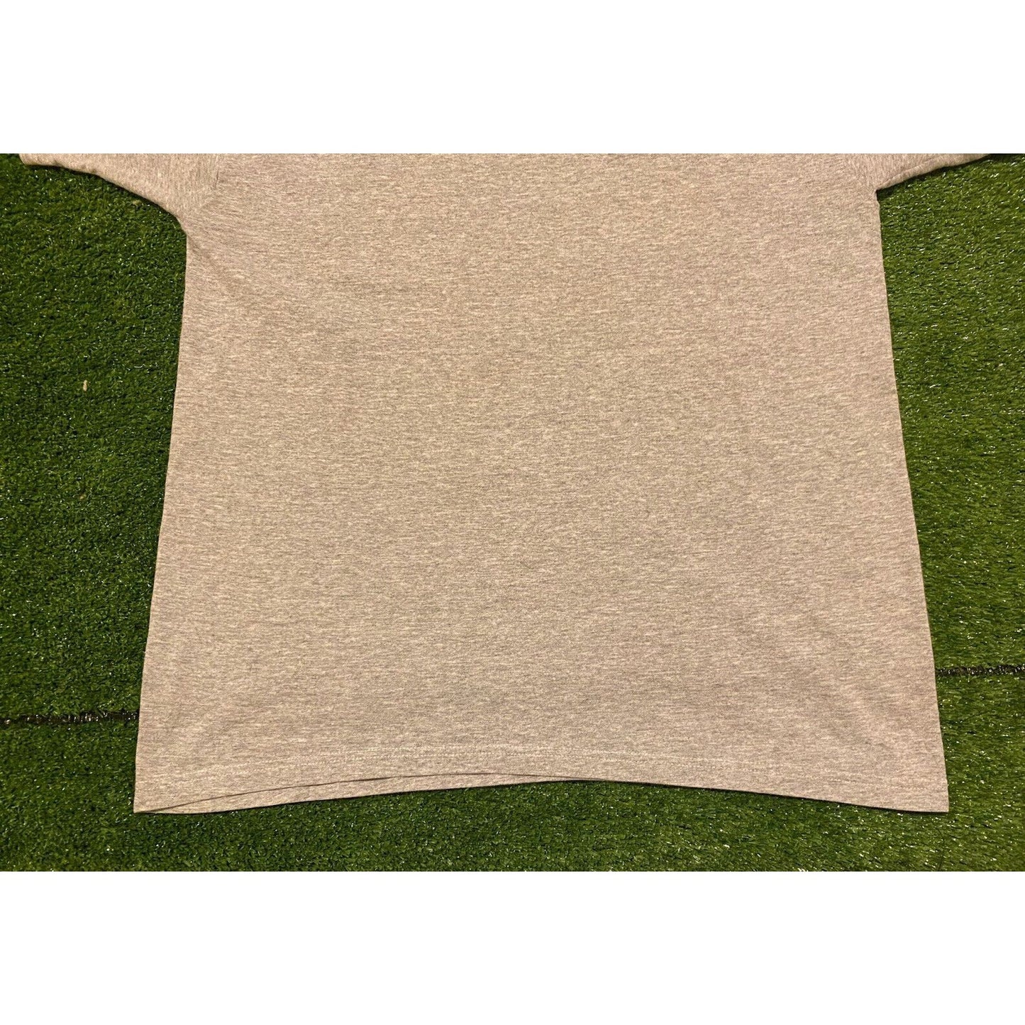 Vintage 1990s NFL Fruit of The Loom Cleveland Browns t-shirt large gray