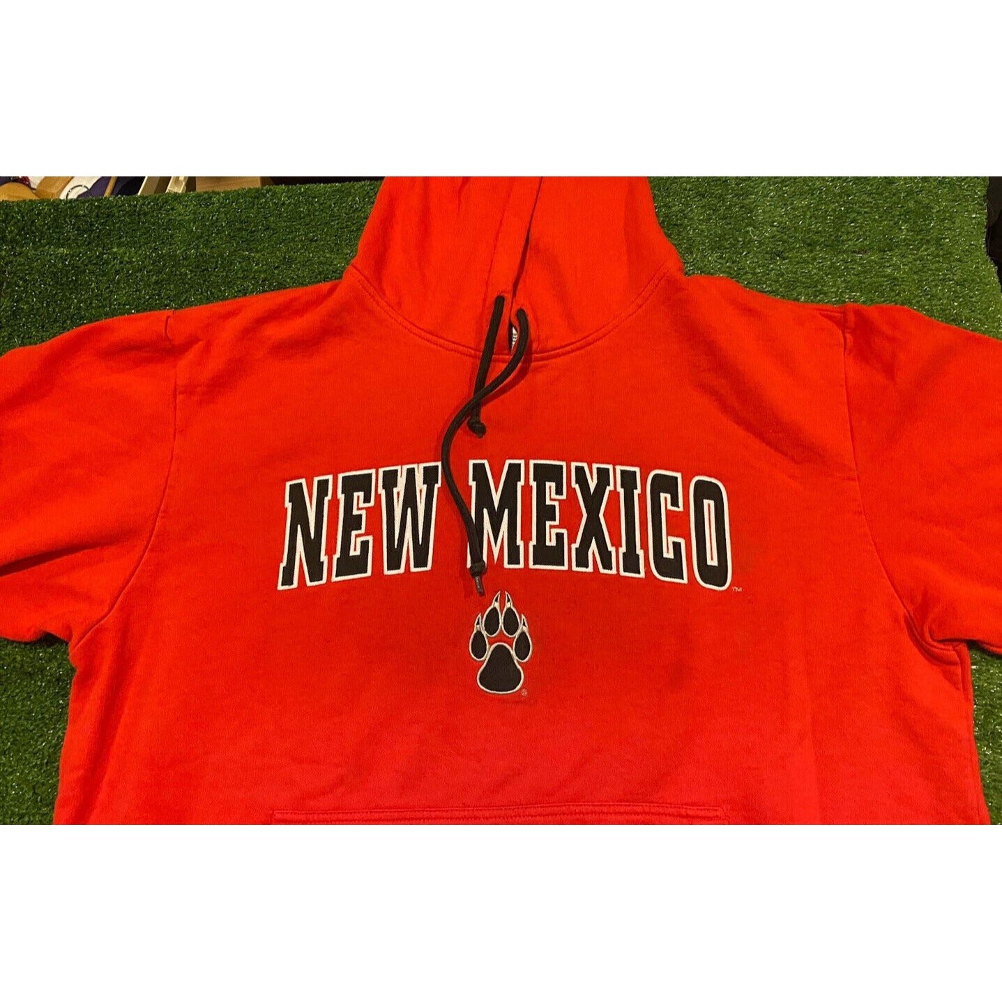 Vintage Team Edition Apparel New Mexico Lobos arch hoodie sweatshirt XL red Y2K