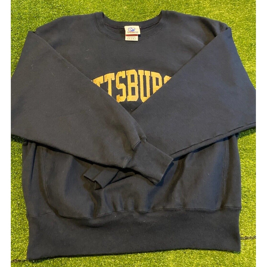 Pittsburgh Panthers sweatshirt mens large vintage Y2K Champion Reverse Weave A