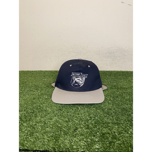 Vintage Penn State Nittany Lions hat cap snap back gray blue football mens