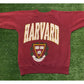 Vintage 1990s Harvard University Crimson crest ivy crewneck sweatshirt small