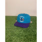 Vintage Charlotte Hornets hat cap snap back block head graffiti wool mens 90s