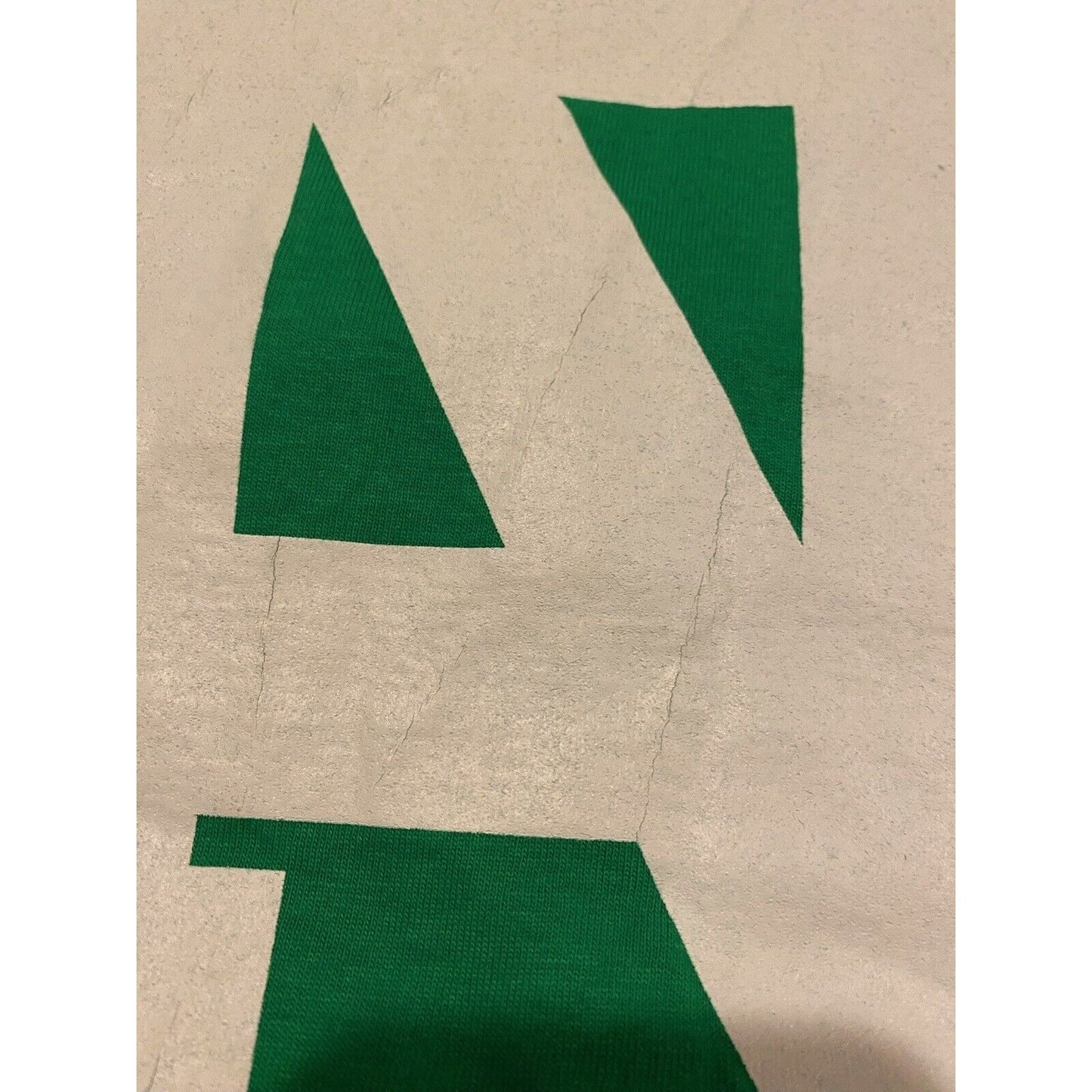 Retro Y2K Fruit of The Loom Notre Dame Fighting Irish Big logo t-shirt XL green