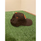 Vintage Drew Pearson NFL Gameday Cleveland Browns snapback hat