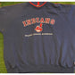 Vintage Cleveland Indians hoodie mens 2XL blue red chief wahoo Lee Sport RK