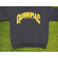 Vintage Quinnipiac Bobcats sweatshirt mens large blue crew neck basketball 19